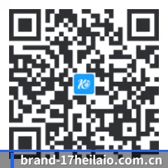 iOS 防封体系版 二维码